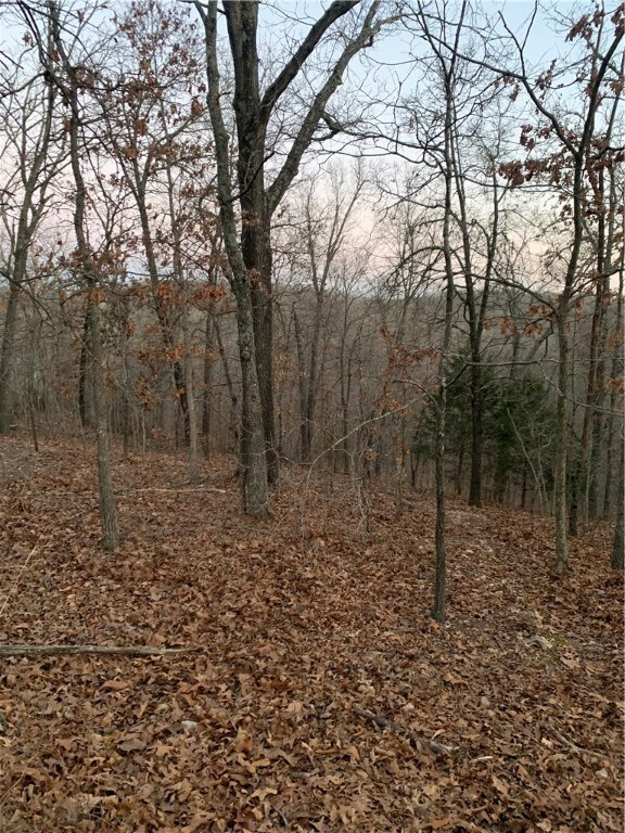 1 Winsford Ln, Bella Vista, AR 72714 - photo 4