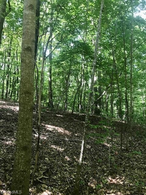 00 Hannah Dr, Asheboro, NC 27205 - photo 2