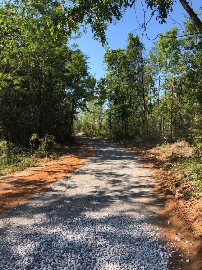 0 Barton Agricola Rd unit 3332395, Lucedale, MS 39452 - photo 3
