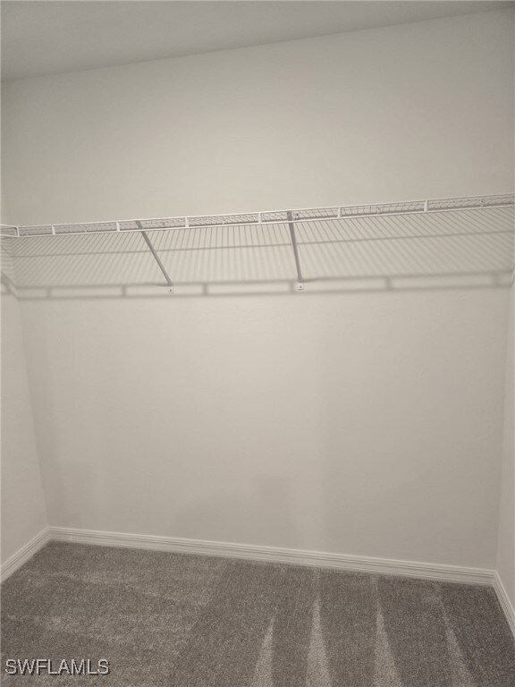 Walk in closet featuring carpet floors