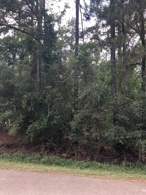 0 Shadberry, Magnolia, TX 77354 - photo 7