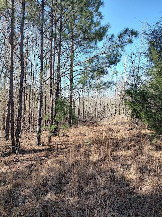 IMG_20250225_102800491_HDR