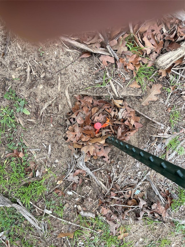 1320 Cypress Trail Loop, Rockdale, TX 76567 - photo 3