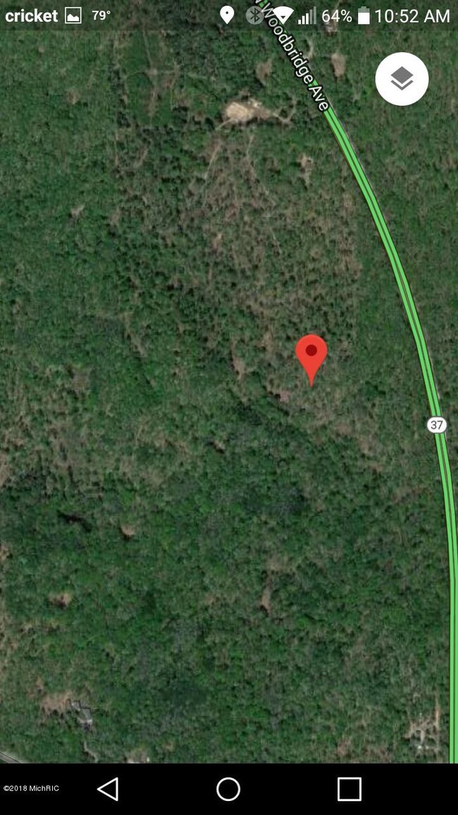 9577 N Woodbridge Rd, Bitely, MI 49309 - photo 4