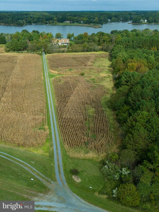 30154 Cods Point Rd, Trappe, MD 21673 - photo 5