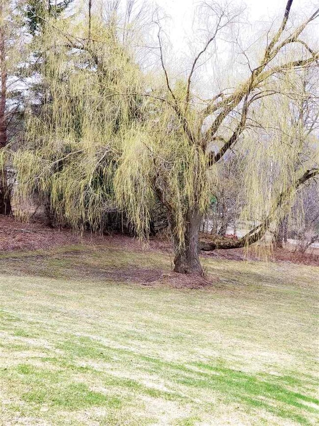 706 Whipple Hill Dr, Lyndonville, VT 05851 - photo 6