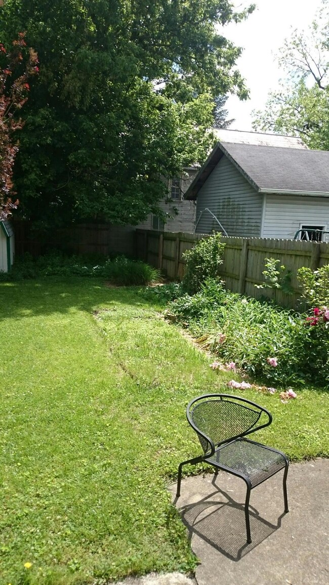 Back Yard 2