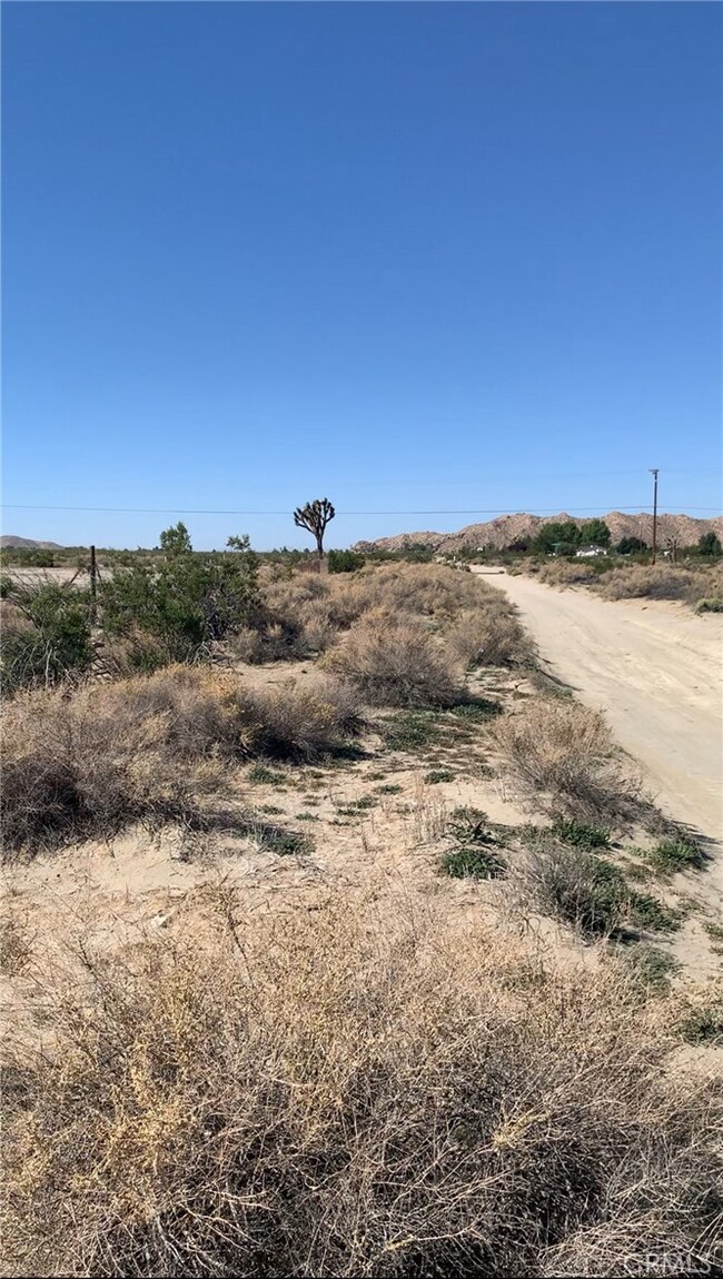 0 Shelly Rd unit TR24097218, El Mirage, CA 92301 - photo 6