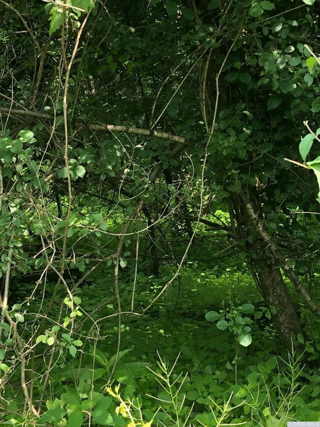 37 - SS Sleepy Hollow Rd, Coxsackie, NY 12051 - photo 2