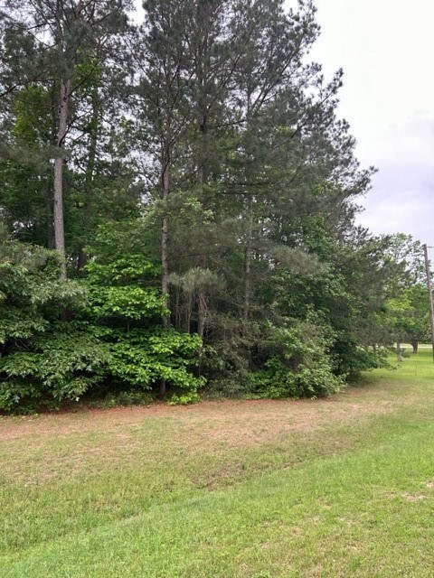 102 Ebner Lake Dr, Montgomery, TX 77316 - photo 5