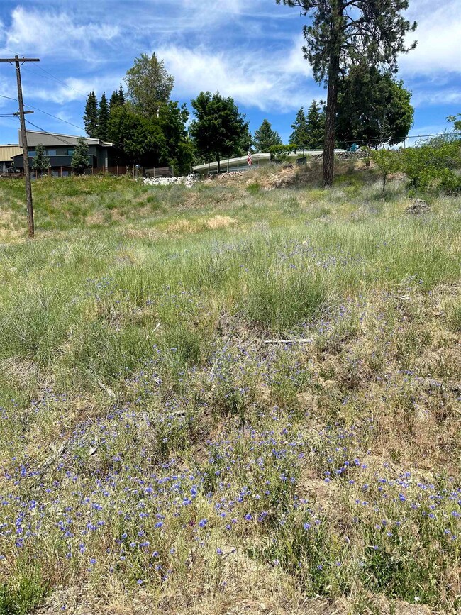 3028 N Belt St, Spokane, WA 99205 - photo 5