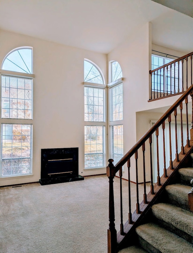 119 Thistle Ct unit 2633C1, Schaumburg, IL 60194 - photo 2