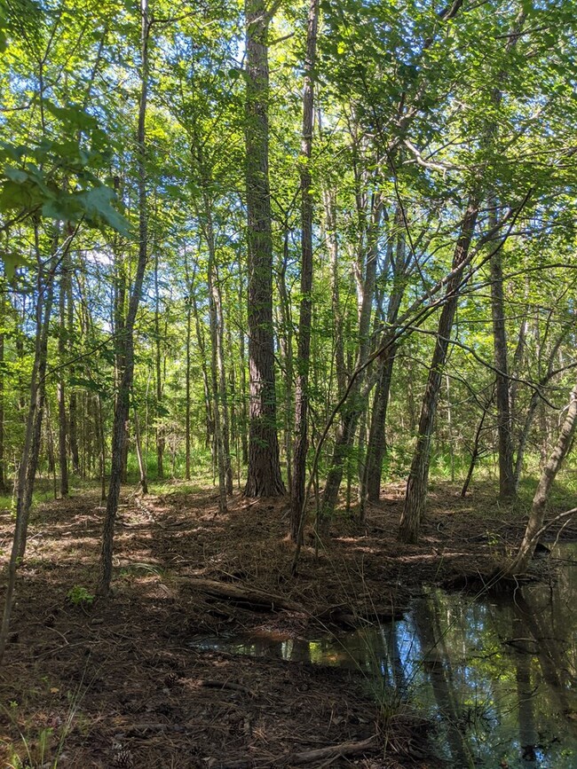 5266 White Oak Rd, Appling, GA 30802 - photo 4