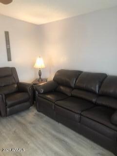Living room3