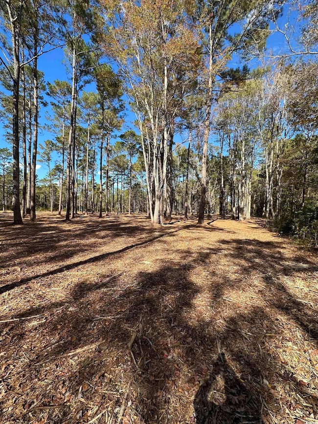 TBD Highway 707, Myrtle Beach, SC 29588 - photo 7