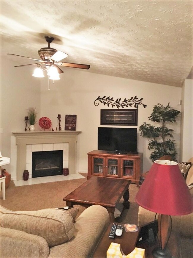 6932 Saint Croix Ln Fireplace