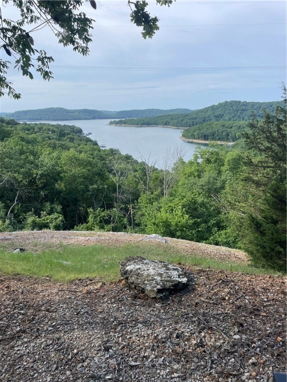 0 Tbd Tract 5 Dam Site Loop, Garfield, AR 72732 - photo 5