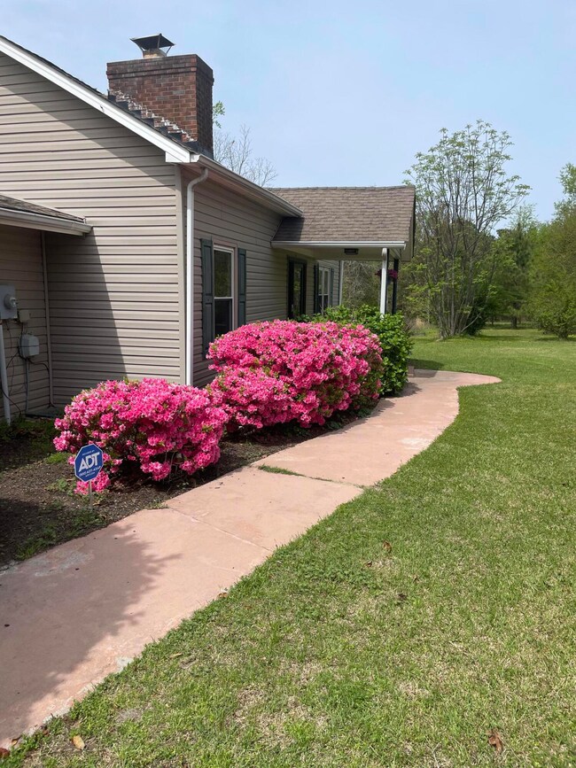 azalea2352