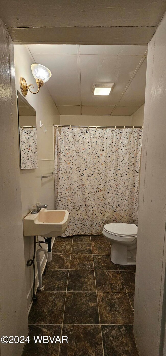 21 W Main St unit 3, Canton, PA 17724 - photo 6