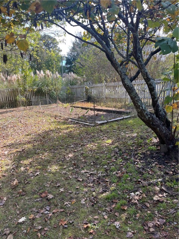 Vegetable Garden