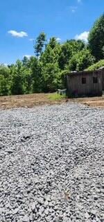 1112 Covered Bridge Rd, Wallingford, KY 41093 - photo 5