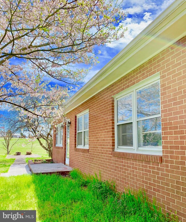 909 Huttle Rd, Middletown, VA 22645 - photo 4