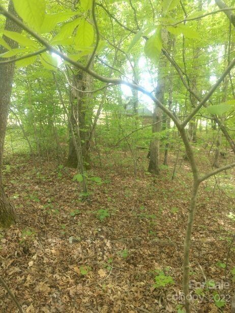 122 Hannaford Place, Gastonia, NC 28052 - photo 2