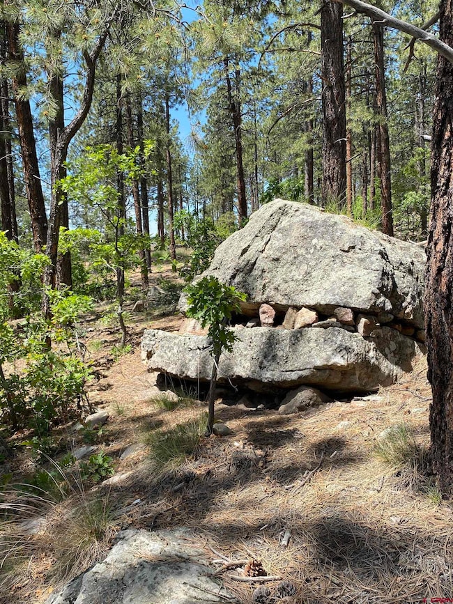 163 Boulder View Dr, Durango, CO 81301 - photo 6