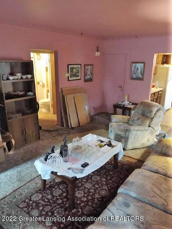 1033 Morgan St, Lansing, MI 48912 - photo 5