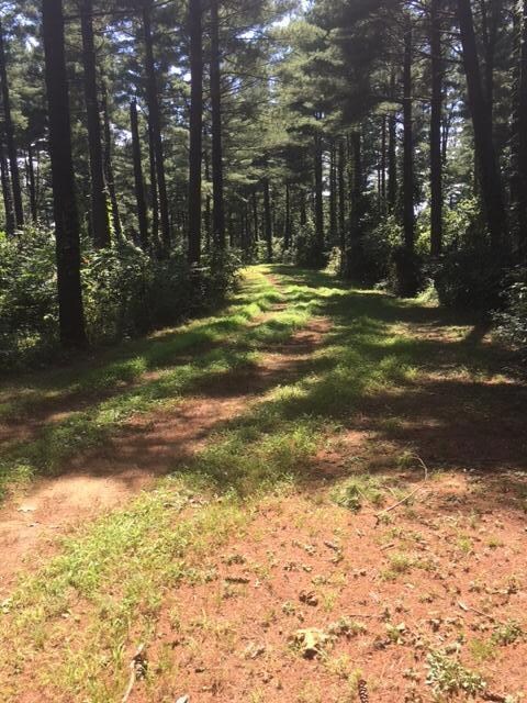 Vore Ridge 4