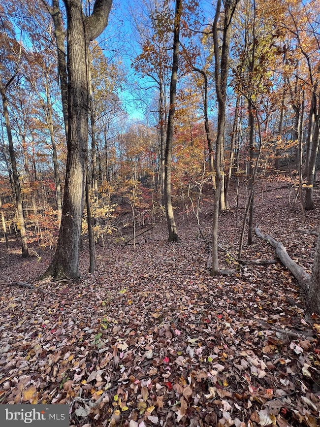 0 Timberline Ridge Rd unit VAWR2012716, Front Royal, VA 22630 - photo 7