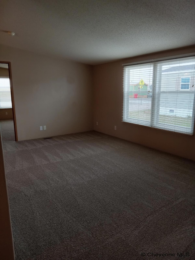 3400 S Greeley Hwy unit 256, Cheyenne, WY 82007 - photo 6