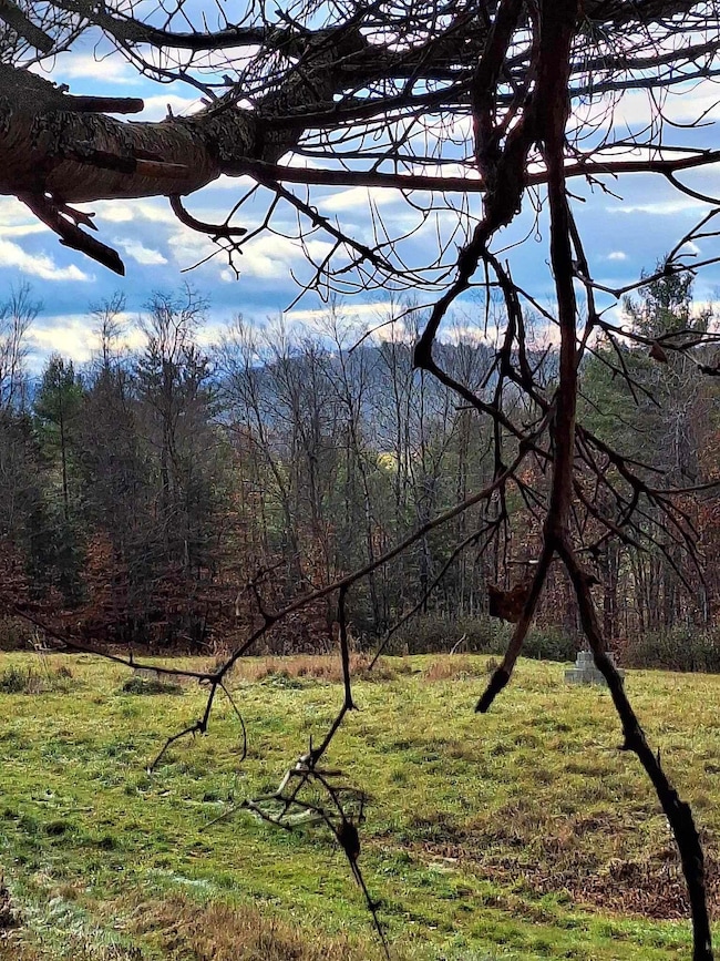 0 Brook Rd, Springfield, VT 05156 - photo 3