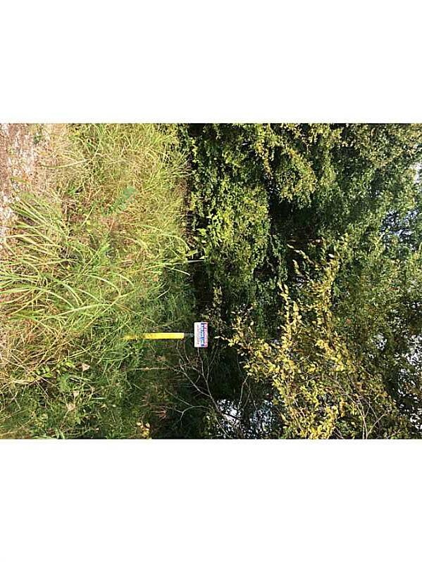 415 Boston St, Prairie Grove, AR 72753 - photo 3