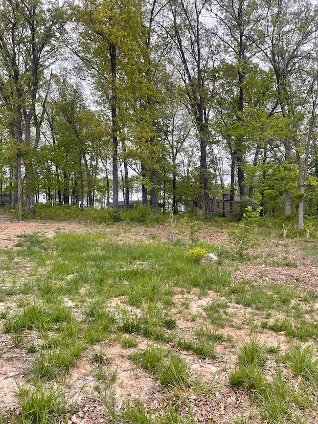 873 Kenmare Ct, Nixa, MO 65714 - photo 3