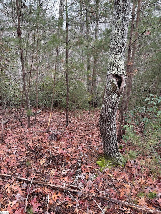 00 Jackson Cove Pkwy, Mill Spring, NC 28756 - photo 7