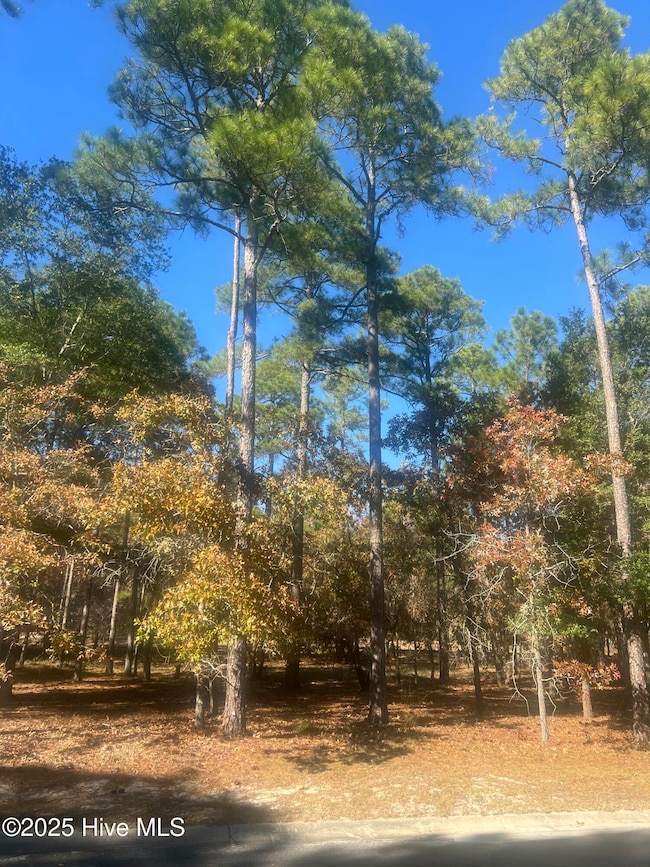 653 Antonica Place SE, Bolivia, NC 28422 - photo 5