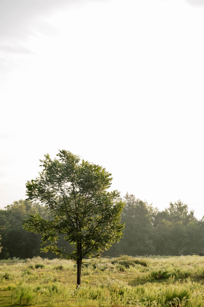 8529 Fm 2754 Rd, Bellville, TX 77418 - photo 3