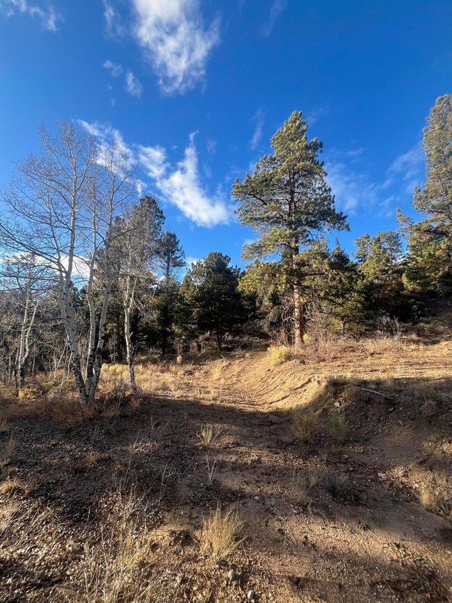 0 Forbes Rd unit 25-1253, Sangre de Cri, CO 81133 - photo 2