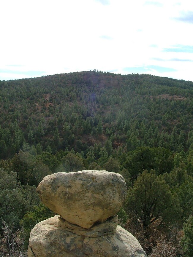 0 Hiddenwood Ln, Trinidad, CO 81082 - photo 7