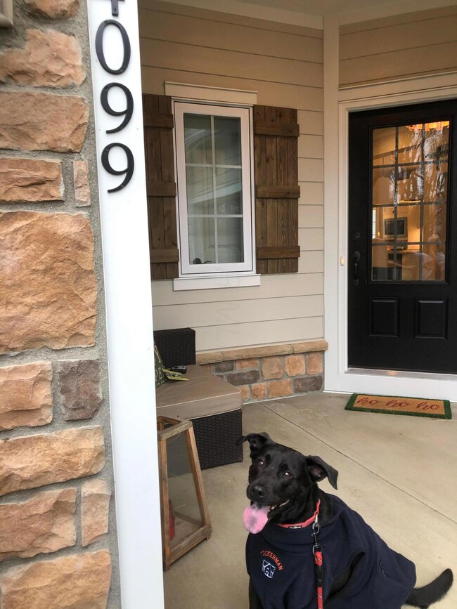 welcome home!