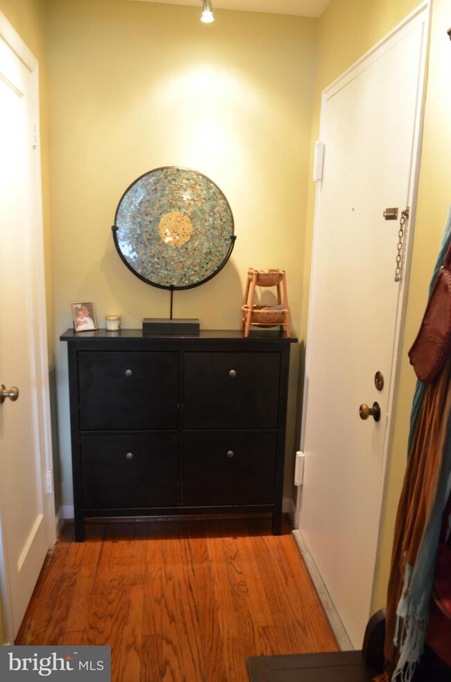 2230 Washington Ave unit 101, Silver Spring, MD 20910 - photo 3