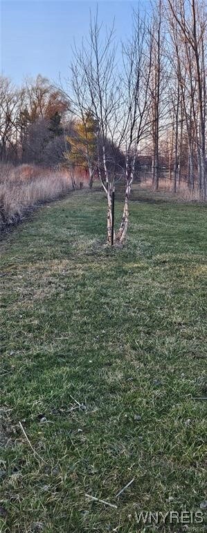 3719 Mapleton Rd, Sanborn, NY 14132 - photo 6