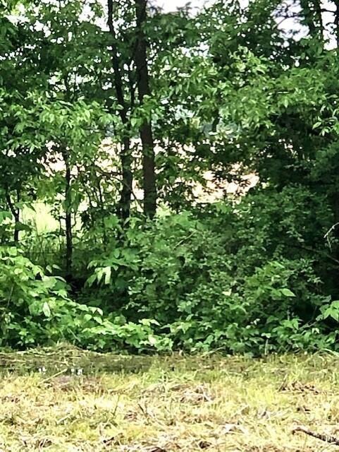 TBD County Road 1535, Bonham, TX 75418 - photo 6