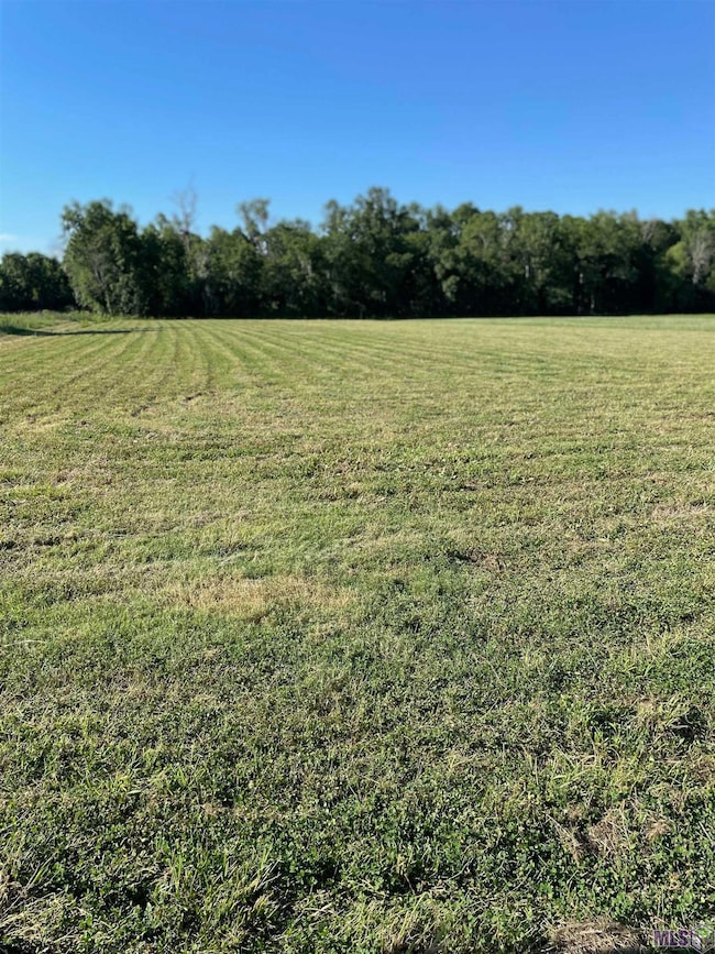 X7-G-1-A2B Blue Ln, Sorrento, LA 70778 - photo 2