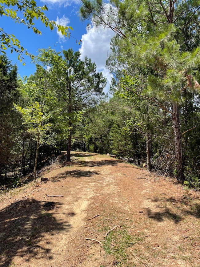 0 Cr 432 unit 22-2165, Rienzi, MS 38865 - photo 5