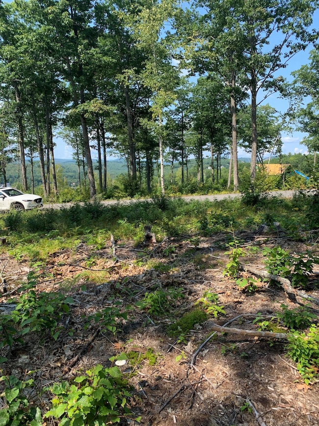 Lot 17 Birch Cir, Harrison, ME 04040 - photo 4
