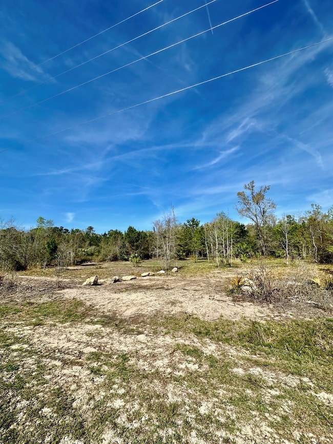 0 SW Highway 361, Steinhatchee, FL 32359 - photo 3