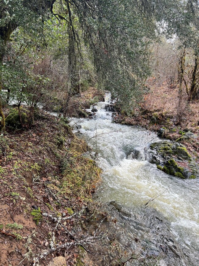 Creek Picture