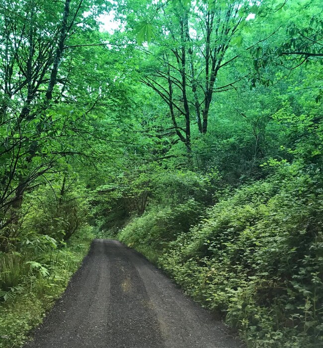 Wooded Drive